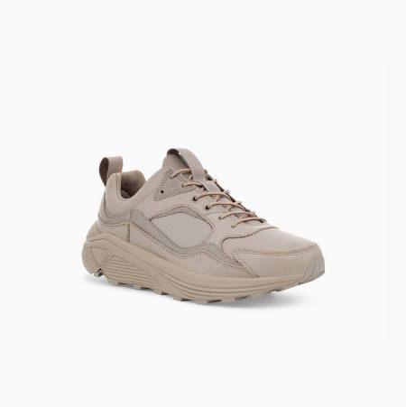 UGG Miwo Trainer Low Beige Sneakers for Men (FQLO89306)